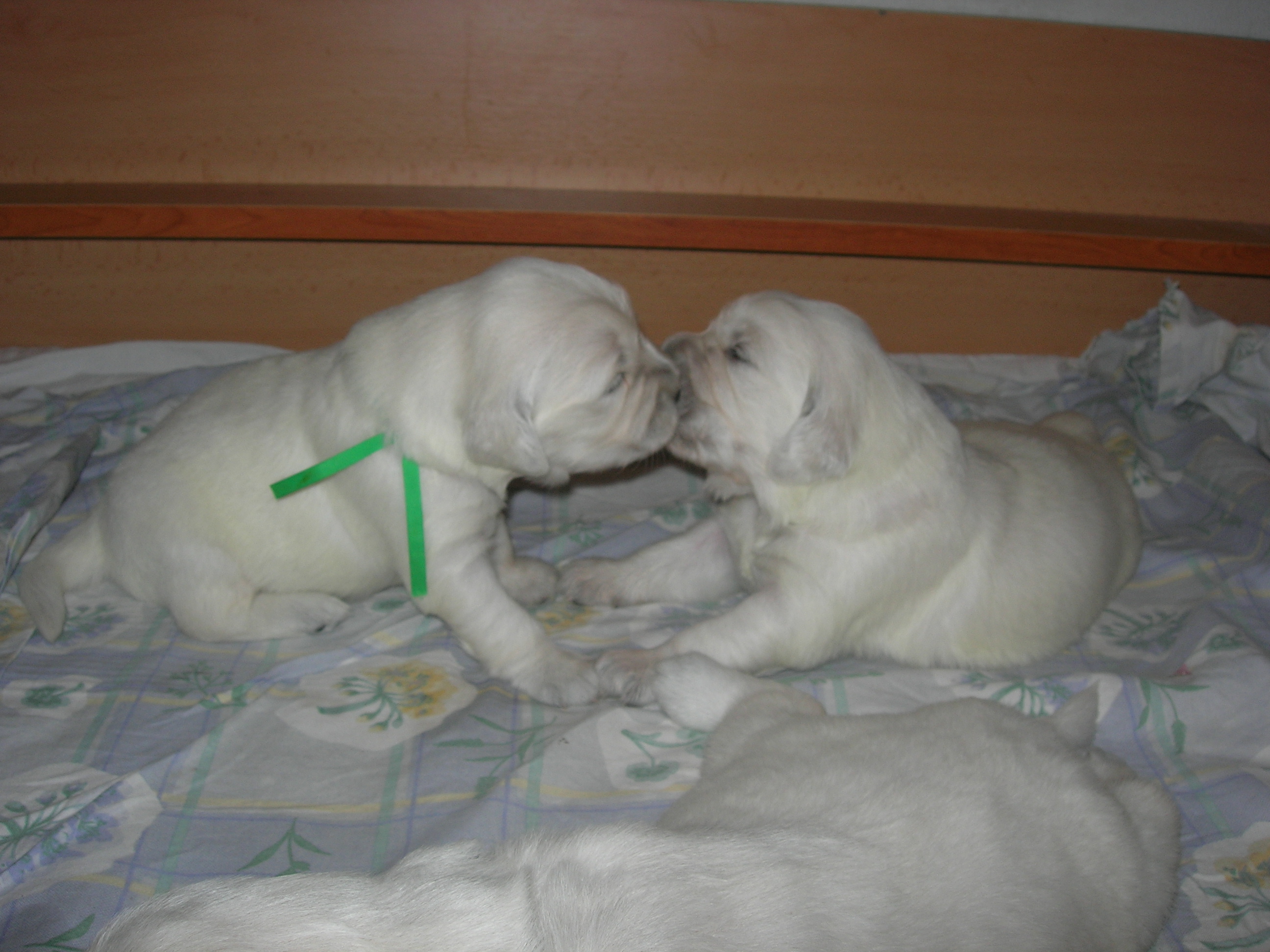 DSCN8948.JPG