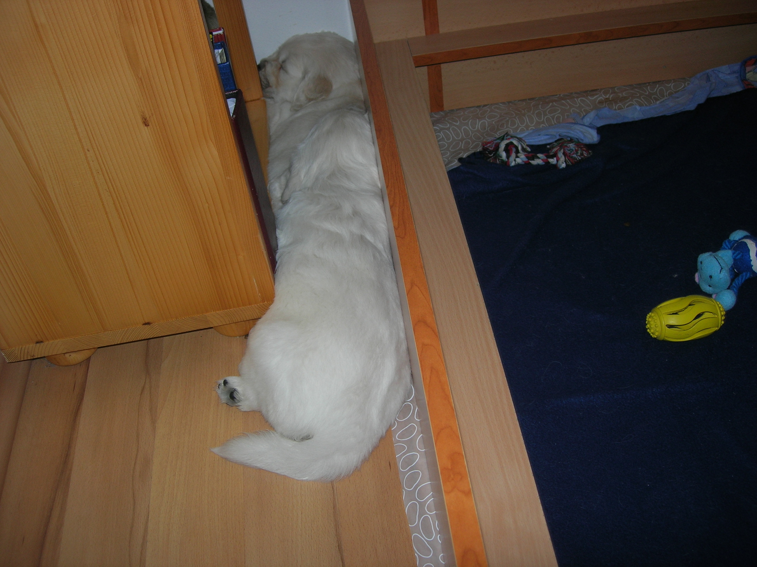 DSCN8962.JPG