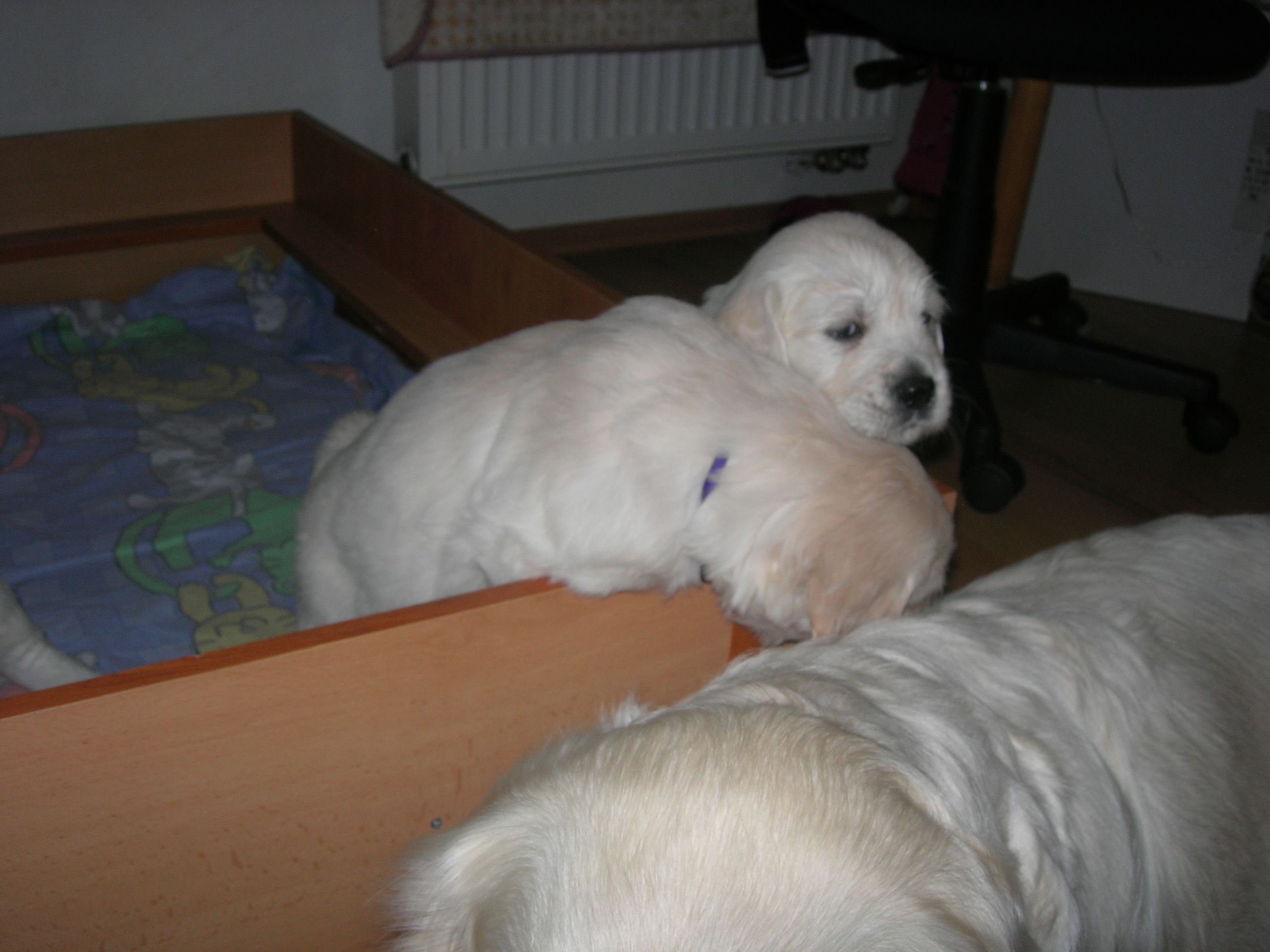 DSCN8963.JPG