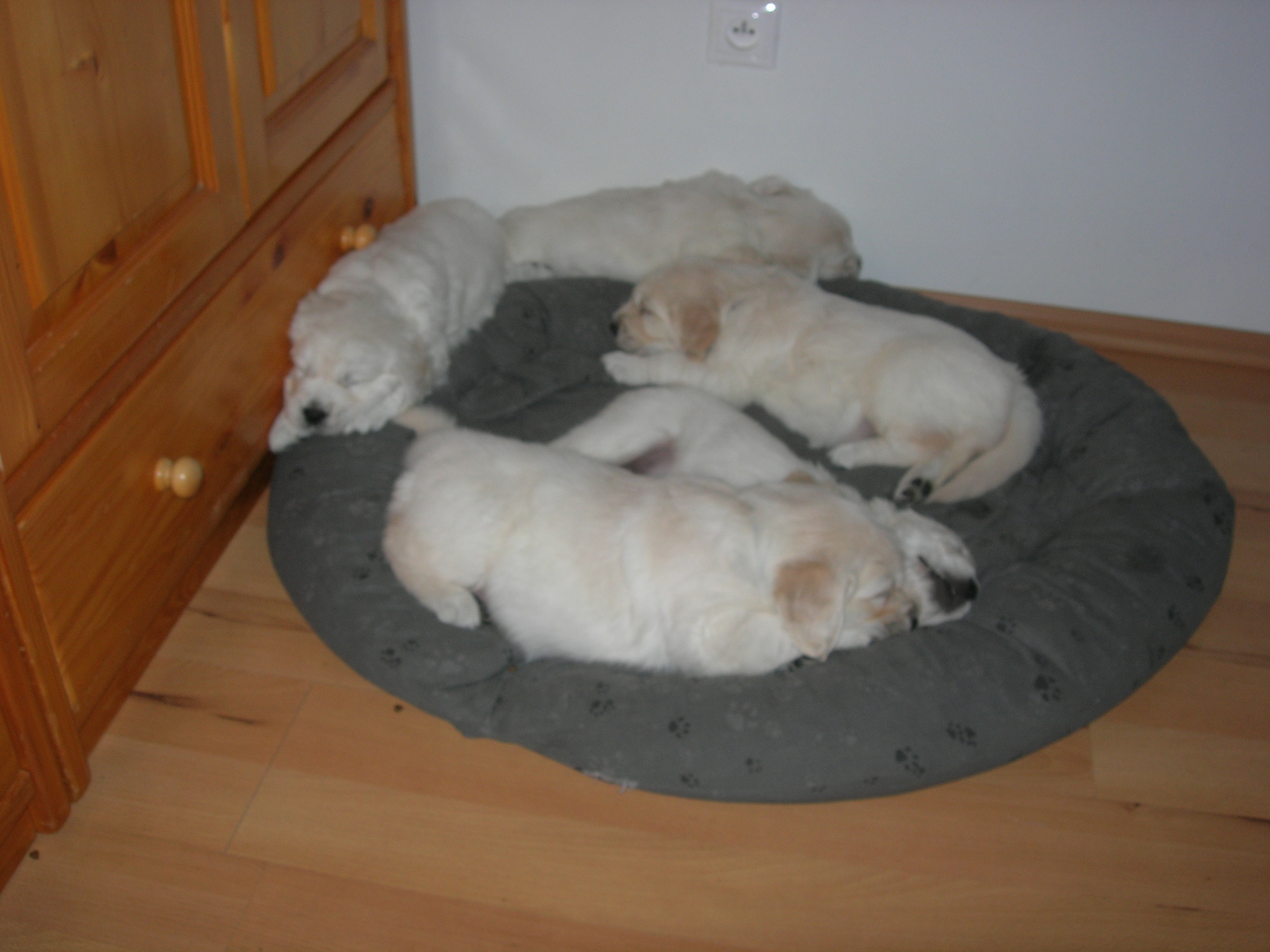 DSCN8967.JPG