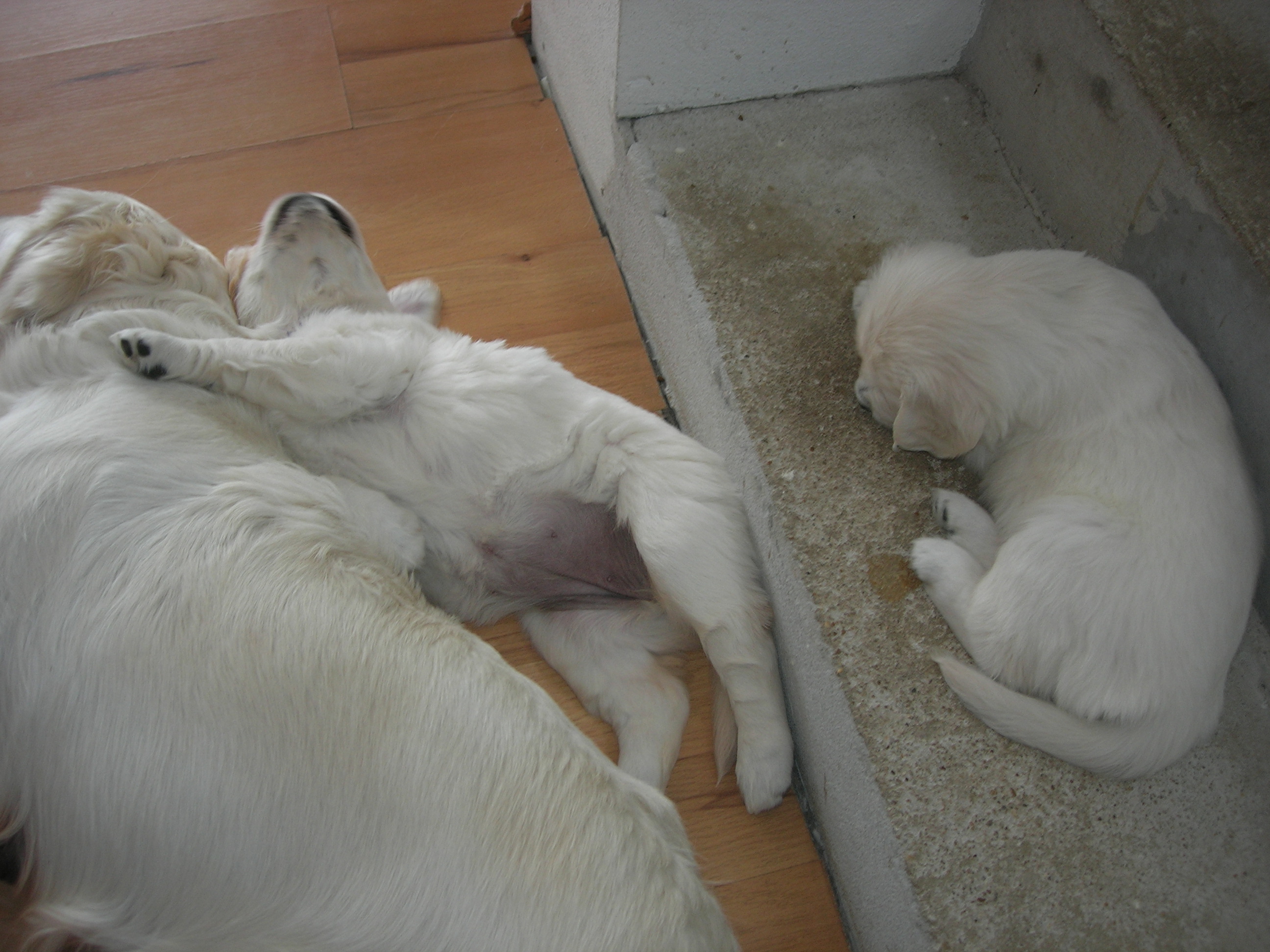 DSCN8972.JPG