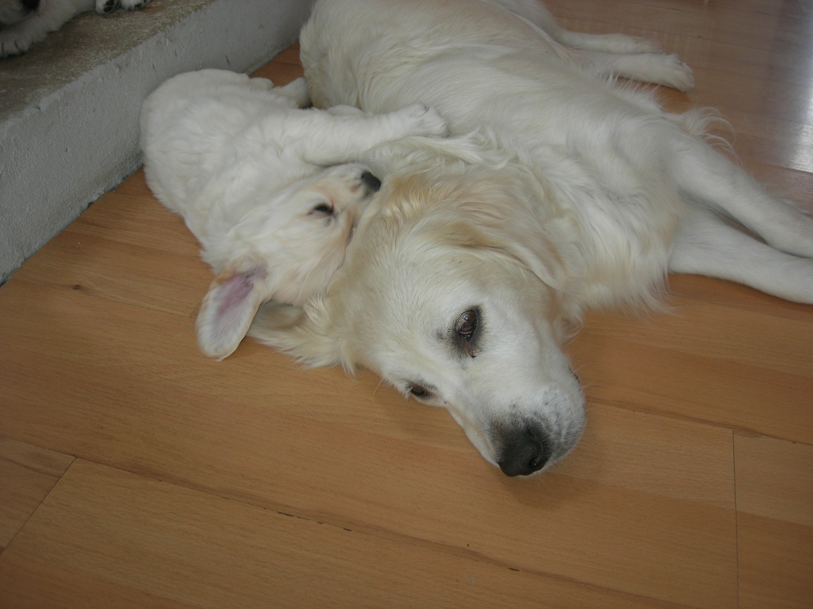 DSCN8973.JPG