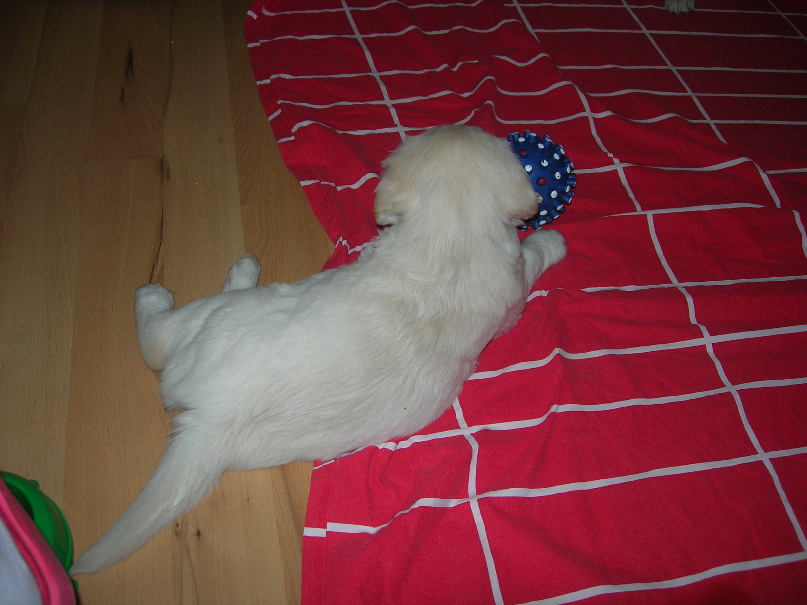 DSCN8976.JPG