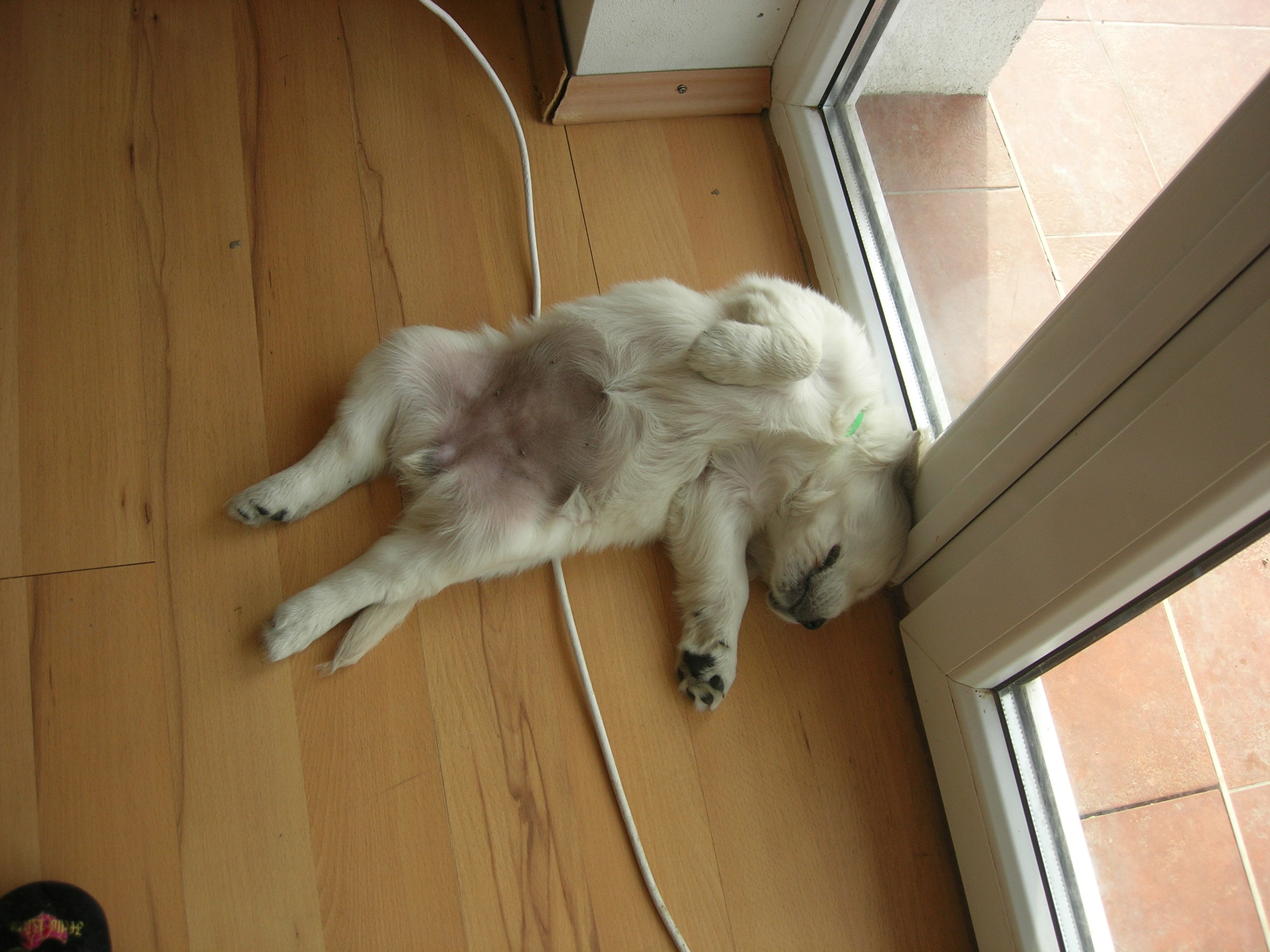 DSCN8984.JPG