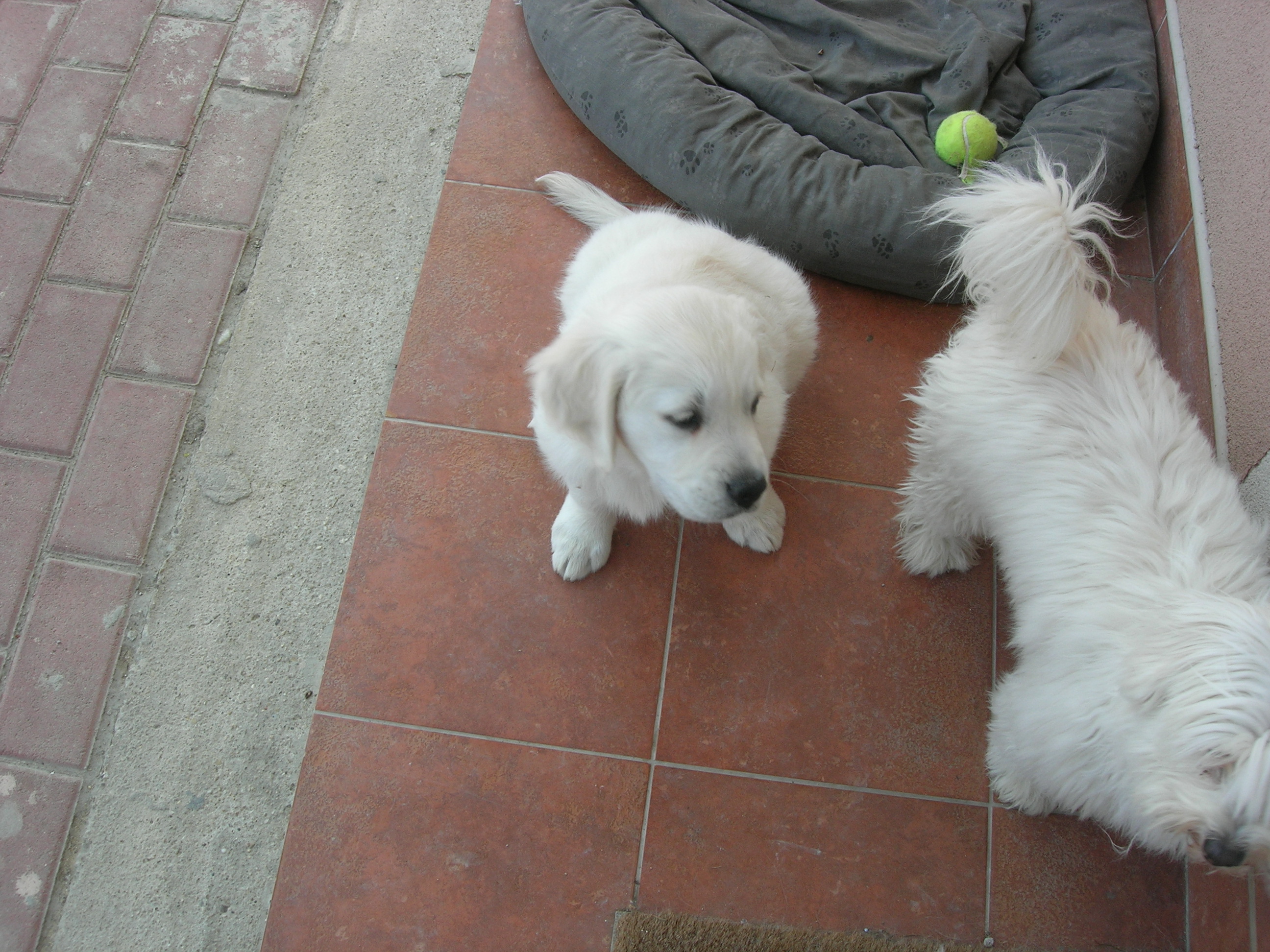 DSCN8993.JPG