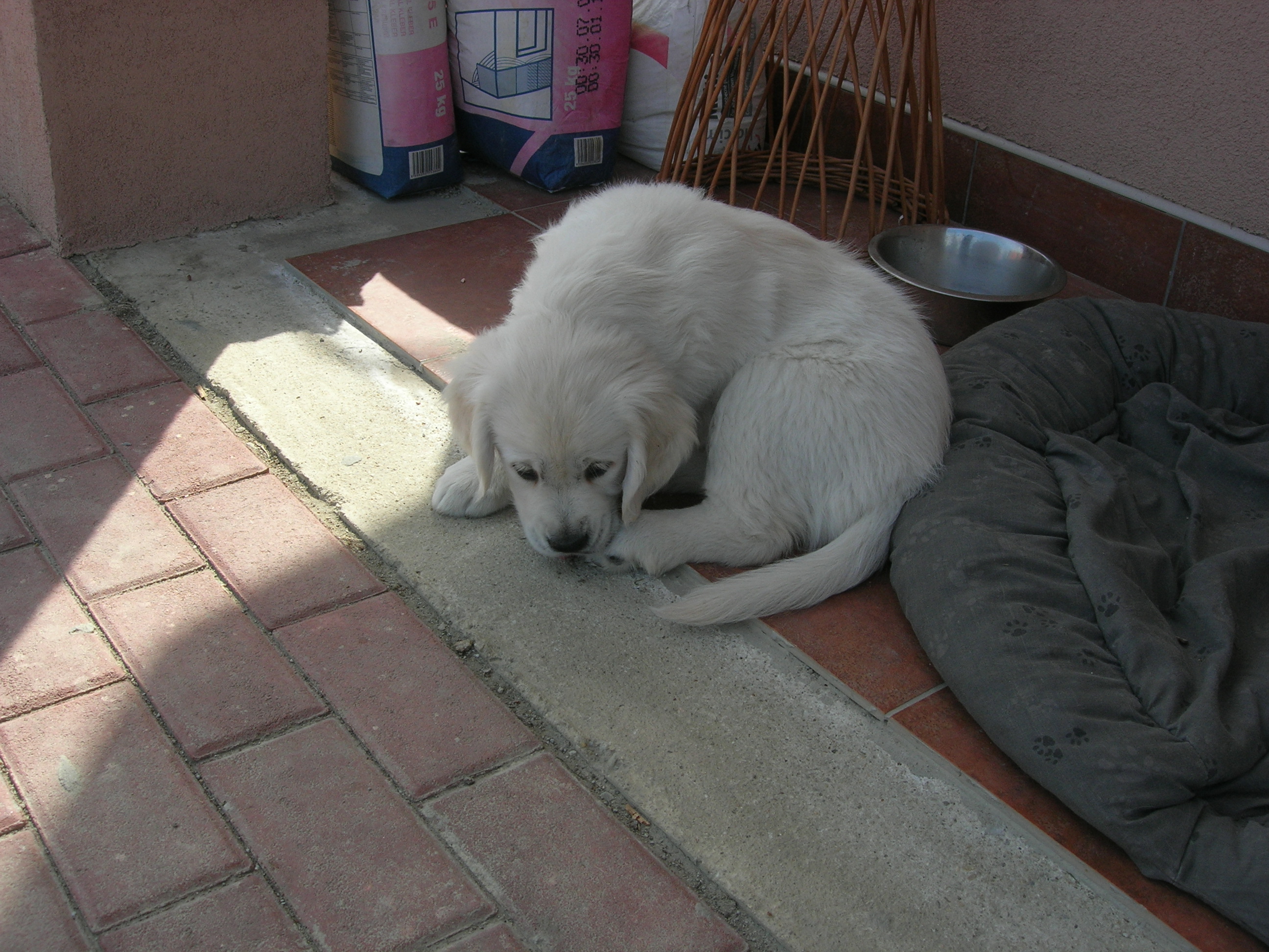 DSCN8994.JPG