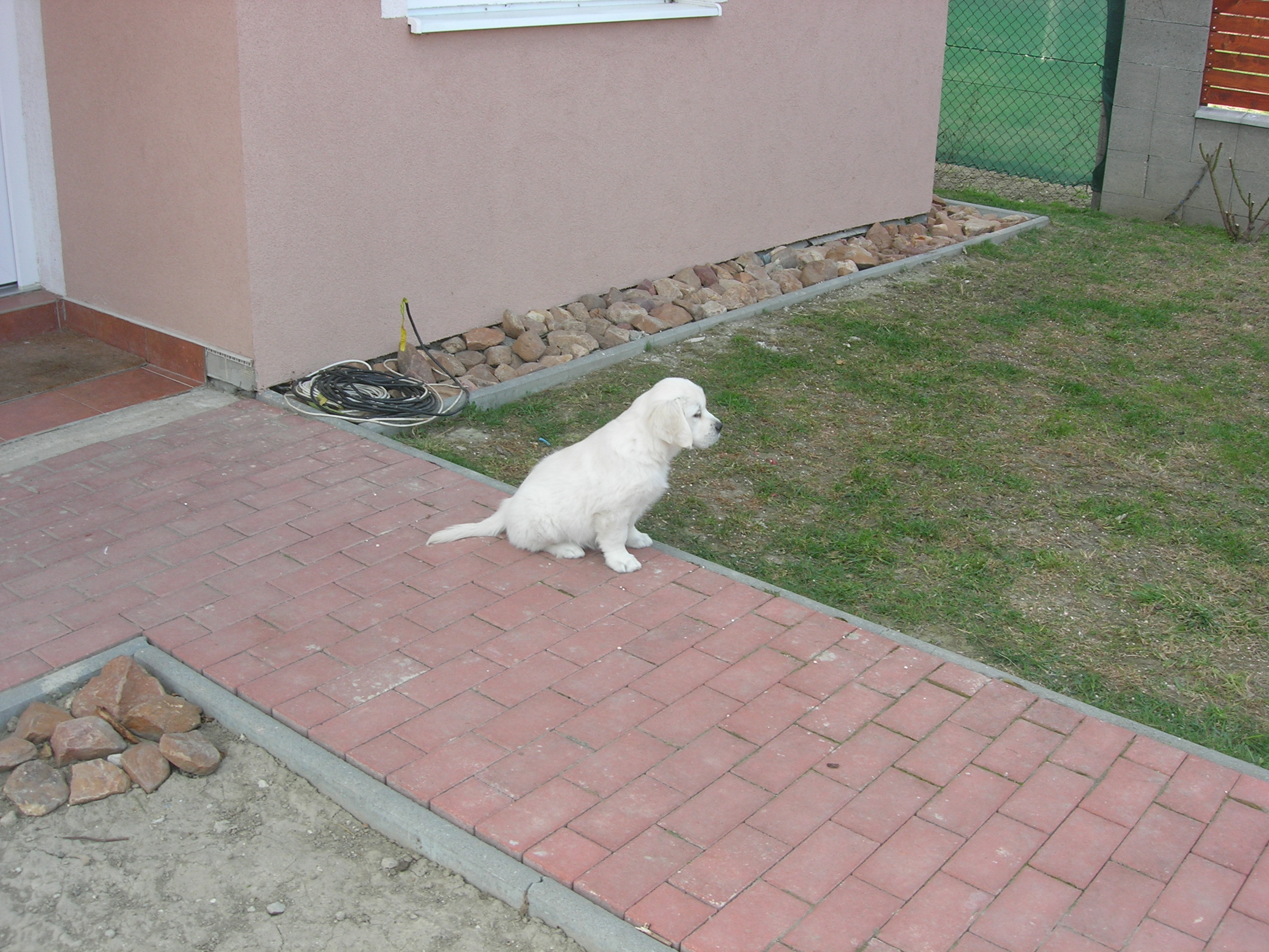 DSCN8995.JPG
