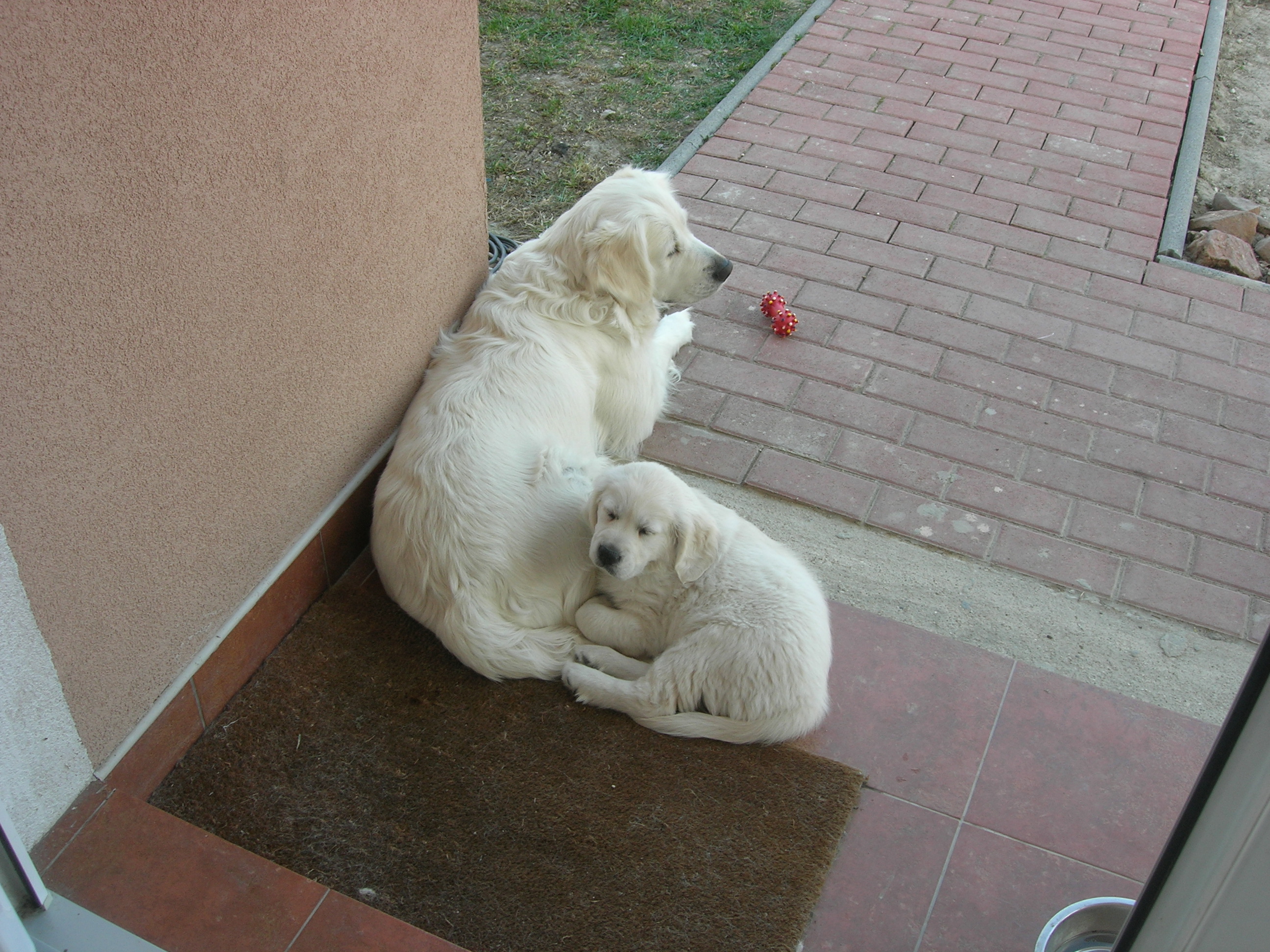 DSCN8997.JPG