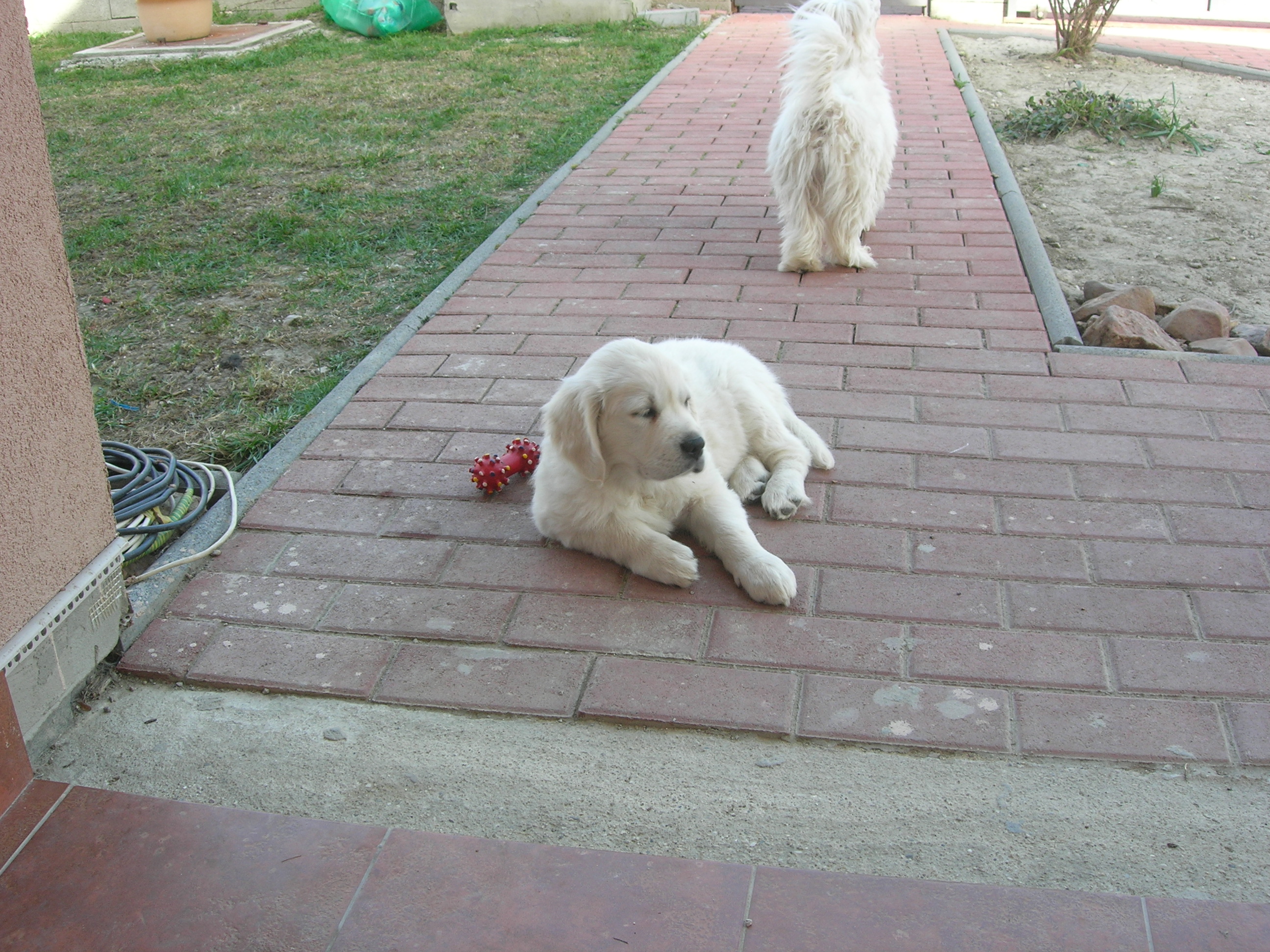 DSCN8998.JPG
