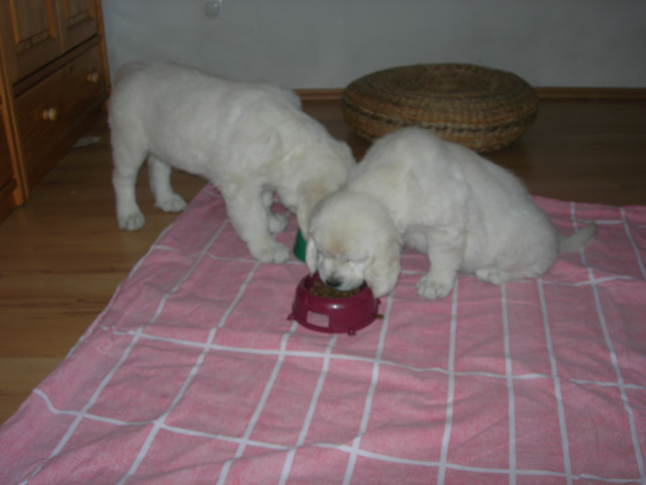 DSCN8999.JPG