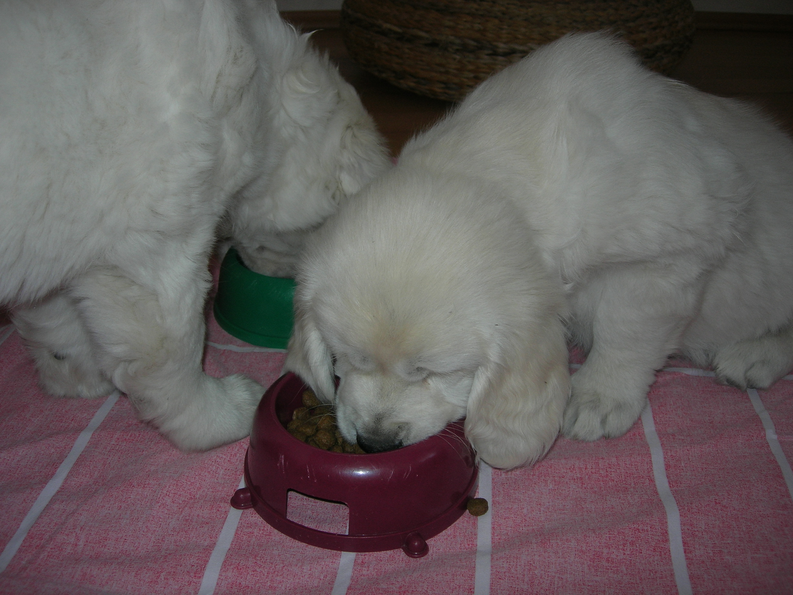 DSCN9000.JPG