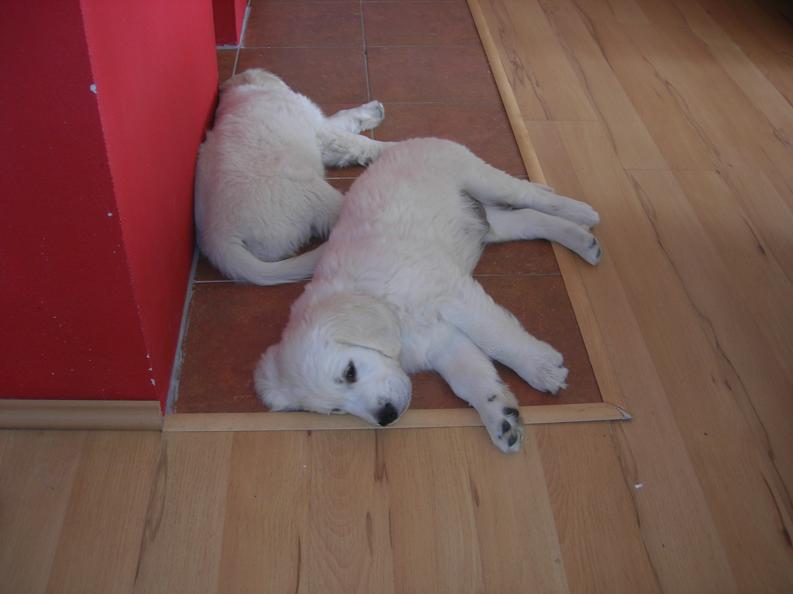 DSCN9002.JPG