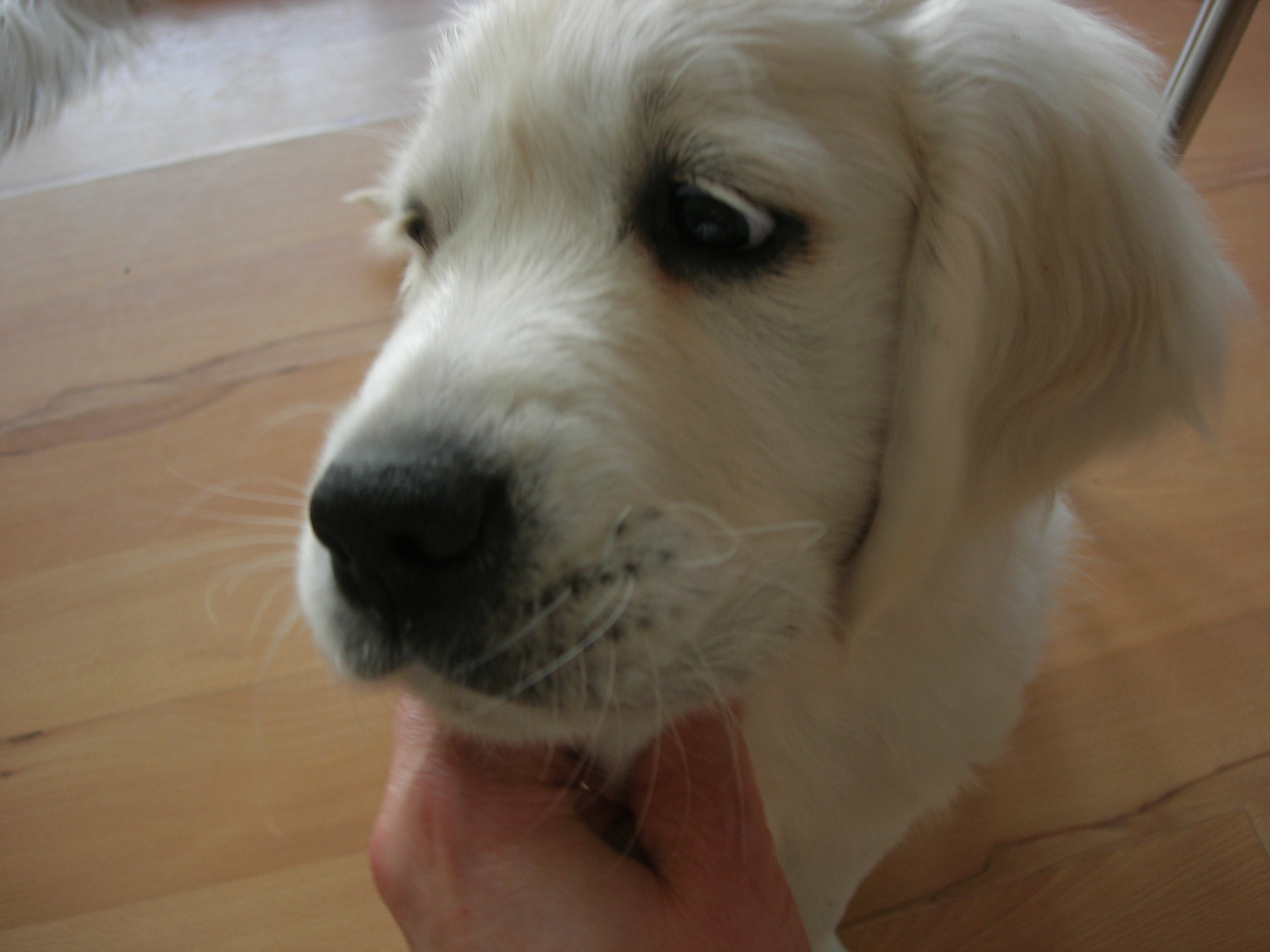 DSCN9004.JPG