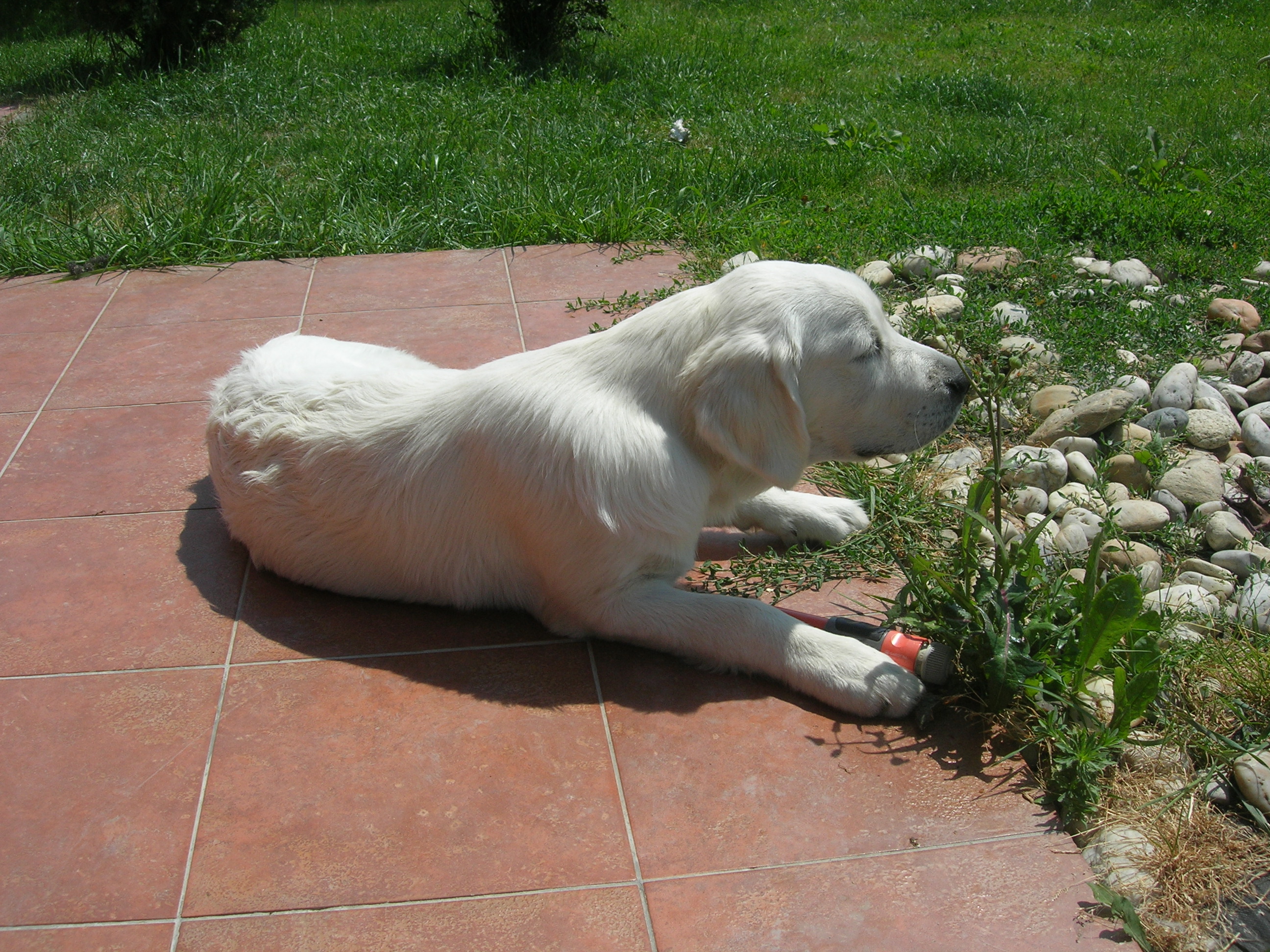 DSCN9013.JPG