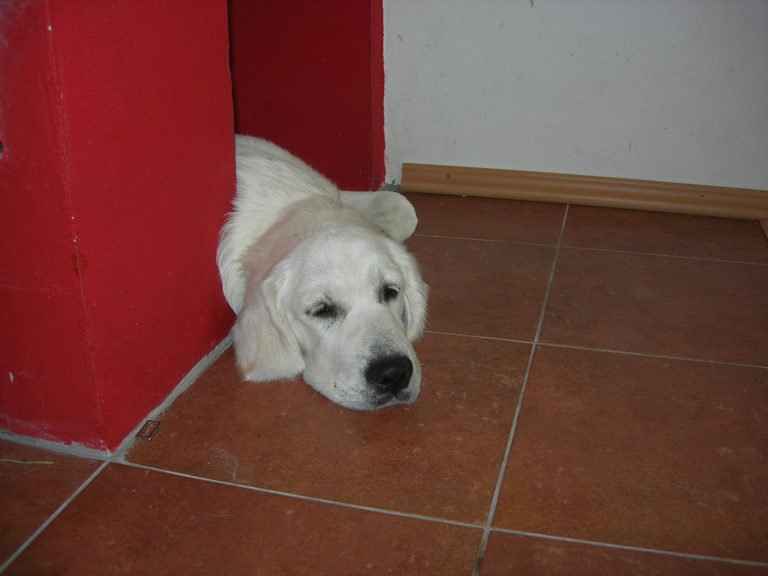 DSCN9014.JPG