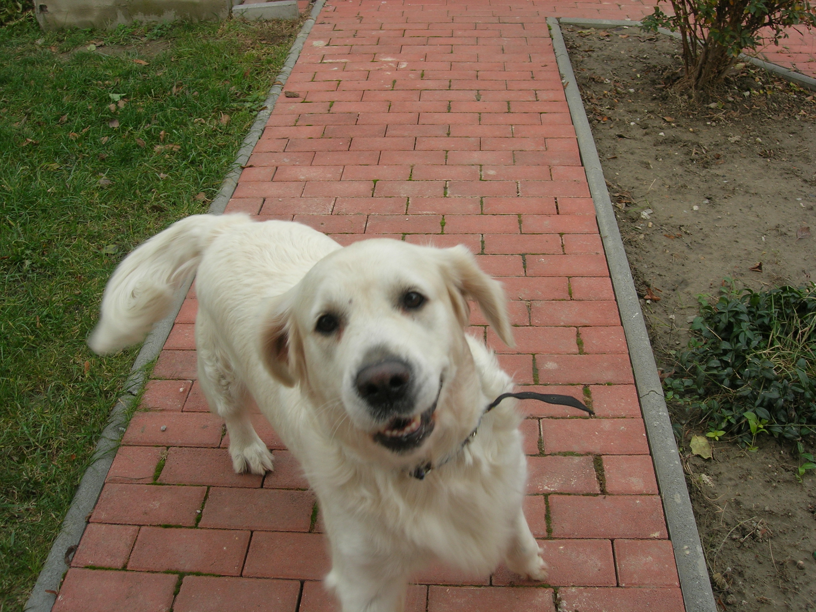 DSCN8761.JPG