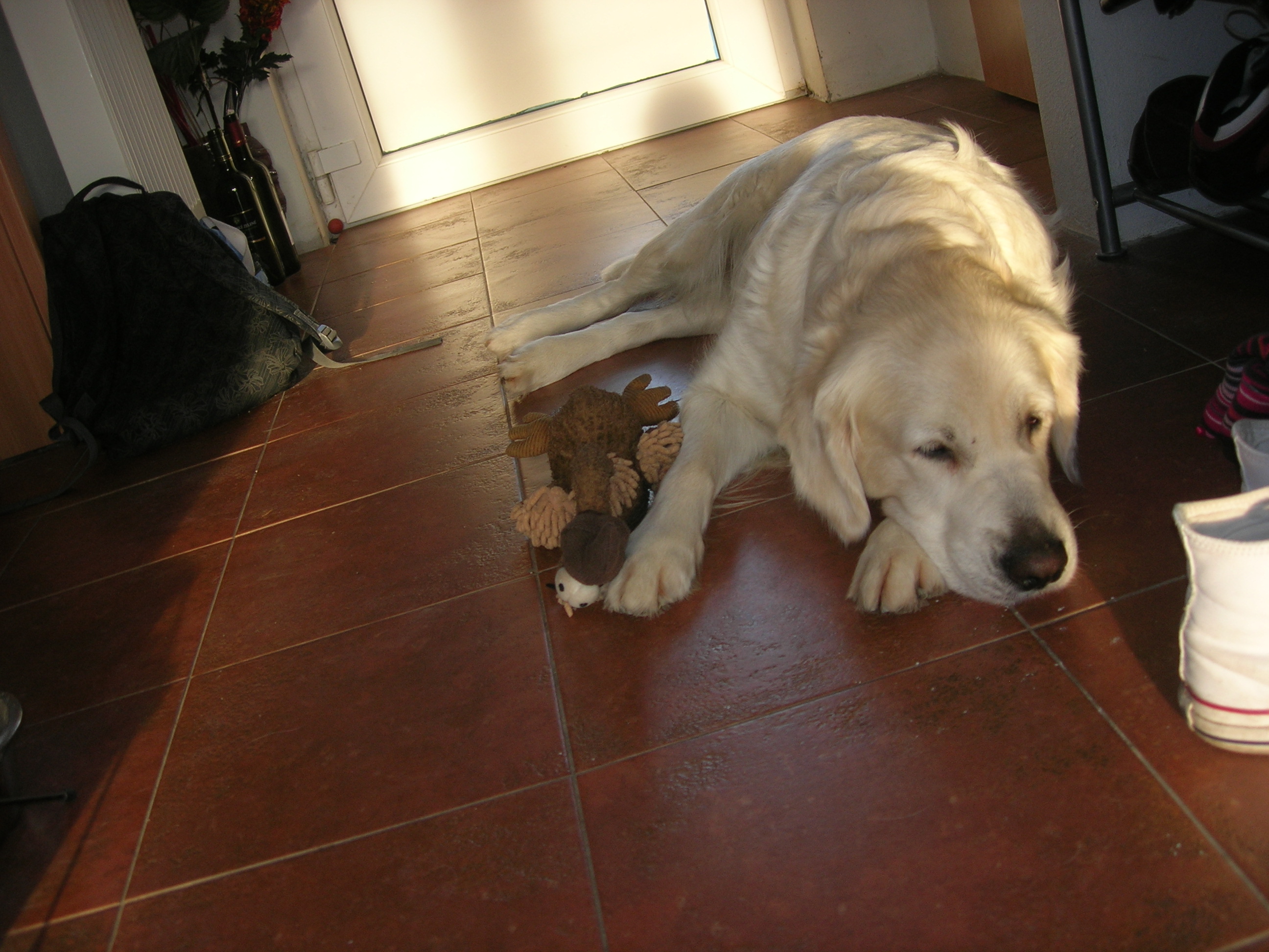 DSCN8798.JPG