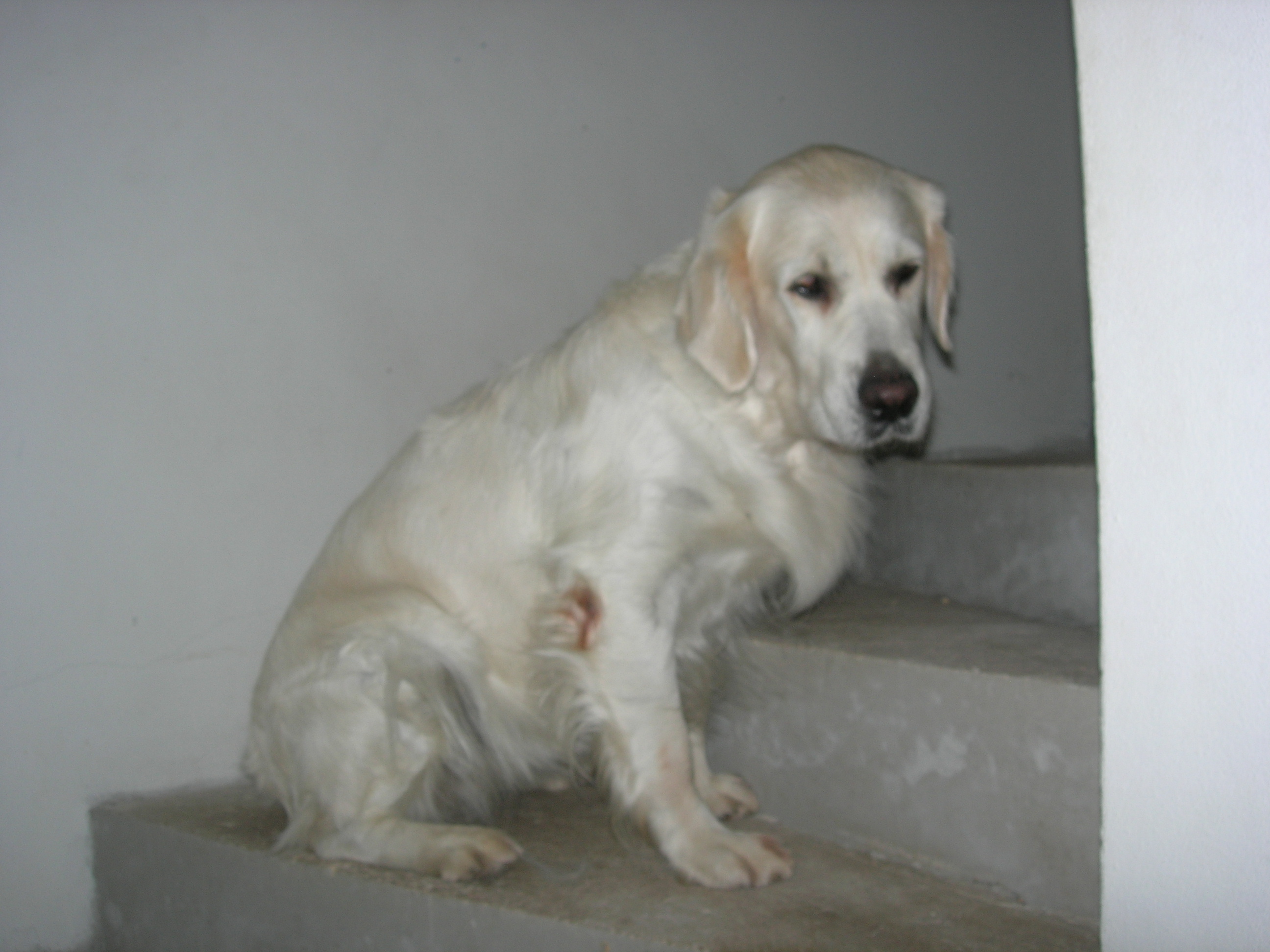 DSCN8695.JPG