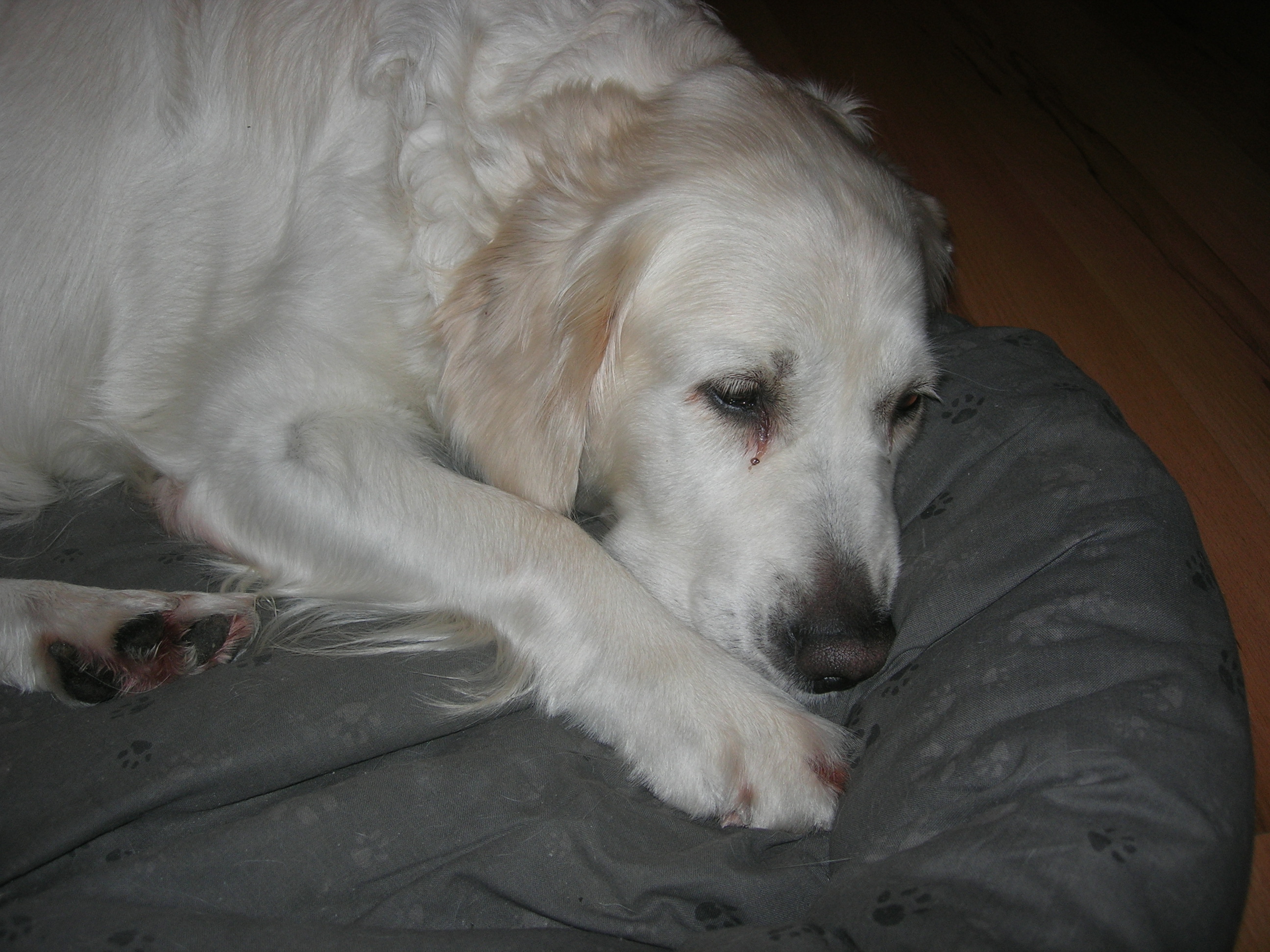 DSCN8876.JPG