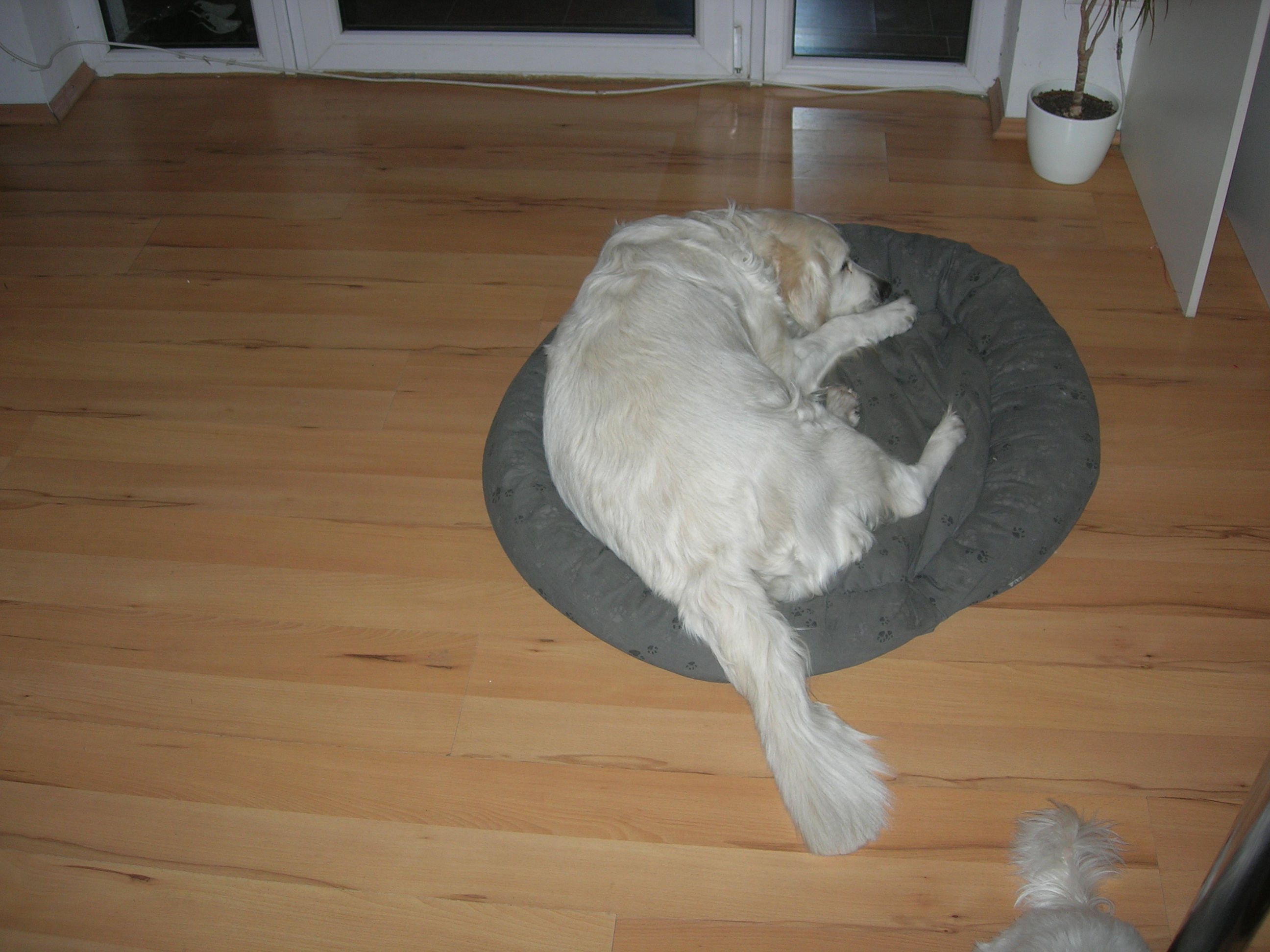 DSCN8877.JPG