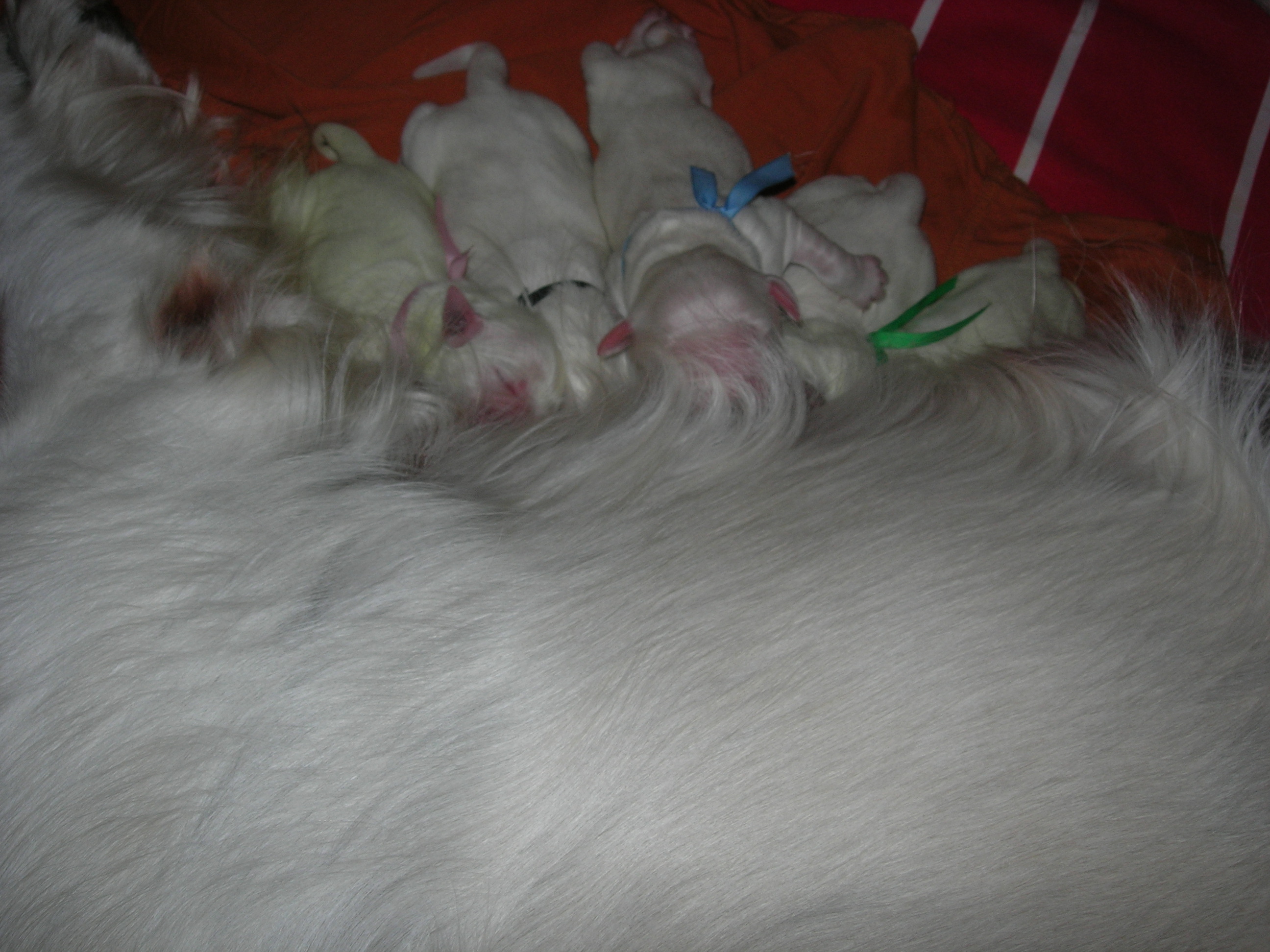DSCN8886.JPG