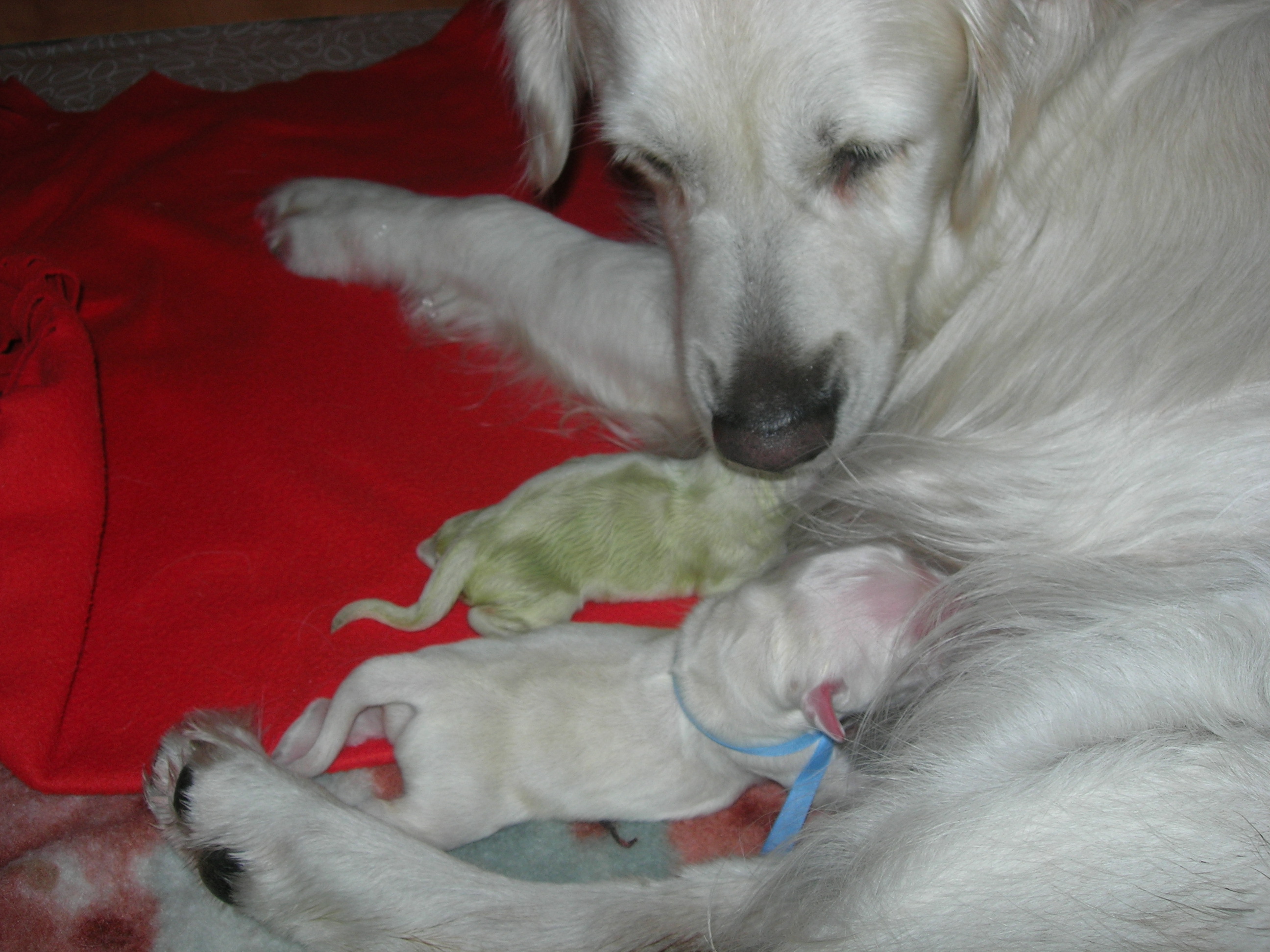 DSCN8879.JPG