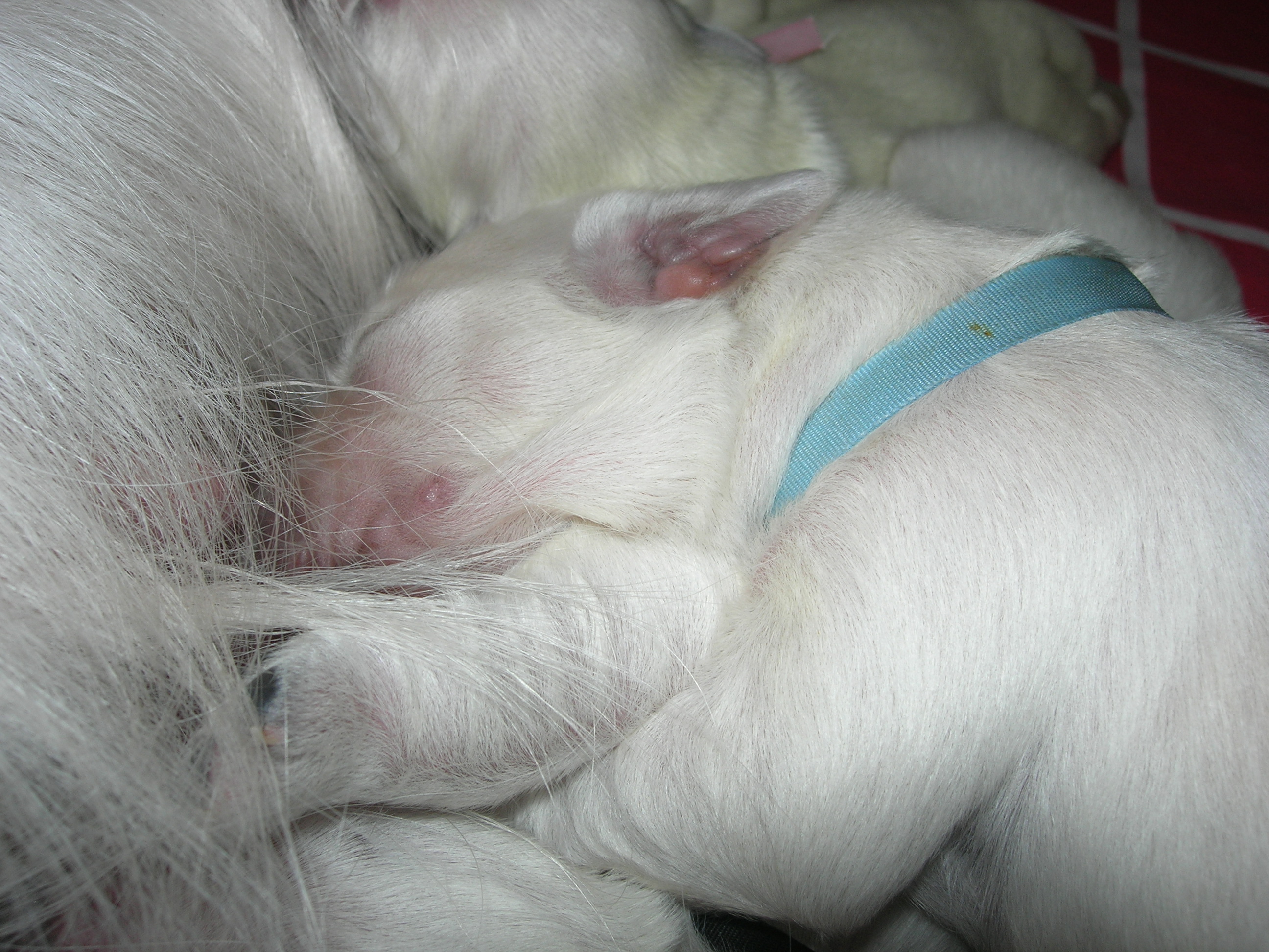 DSCN8903.JPG