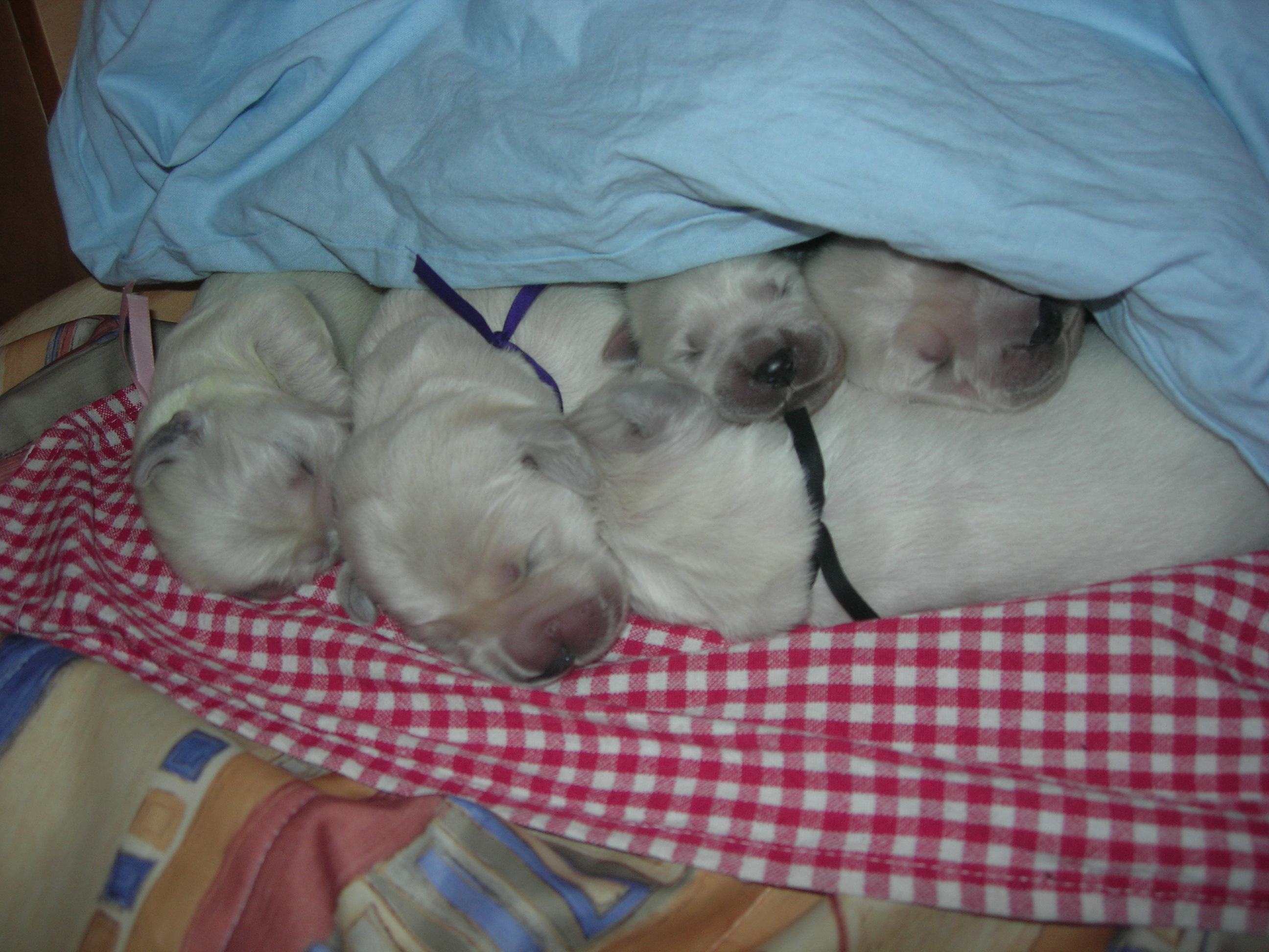DSCN8907.JPG