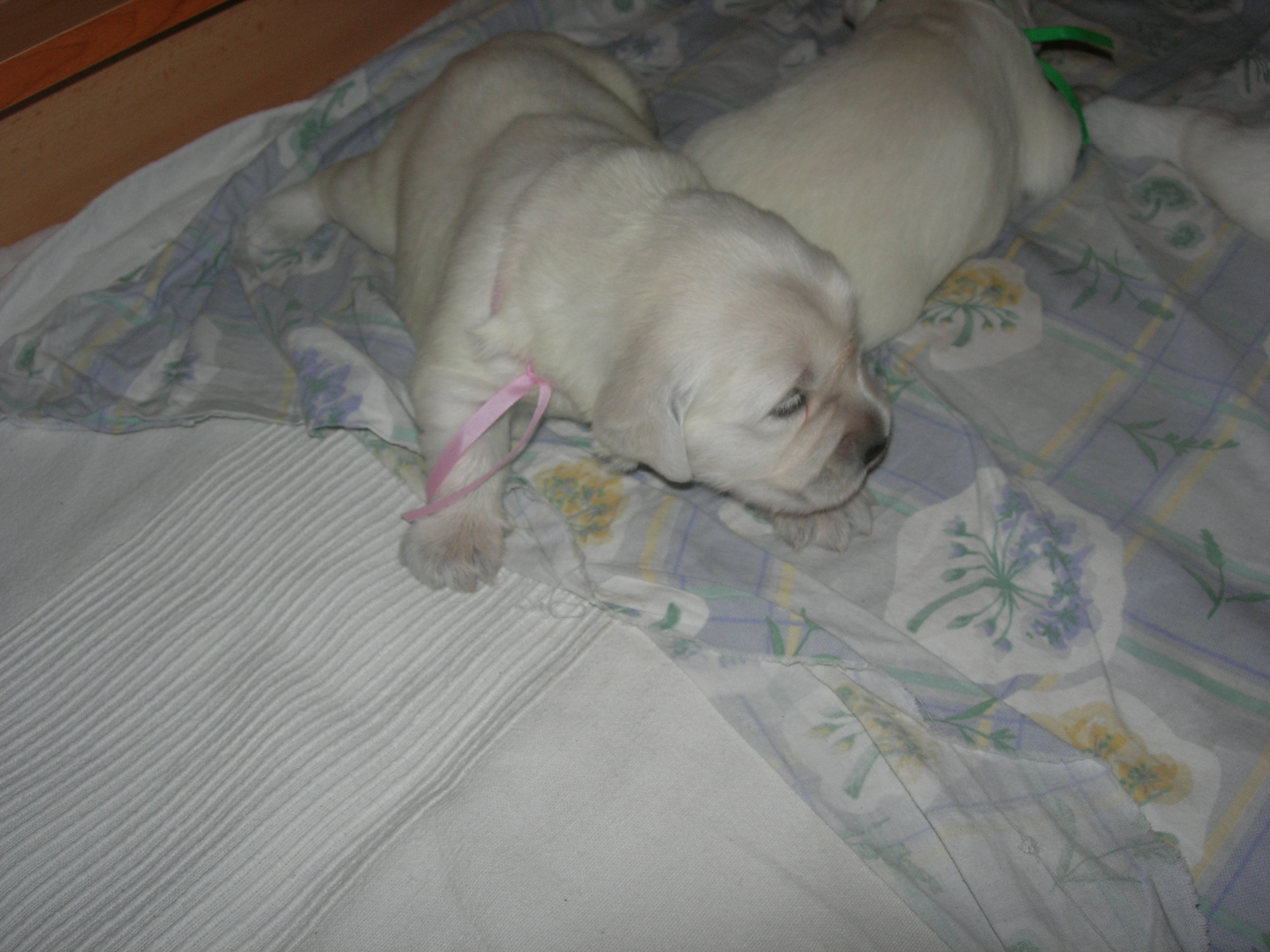 DSCN8951.JPG