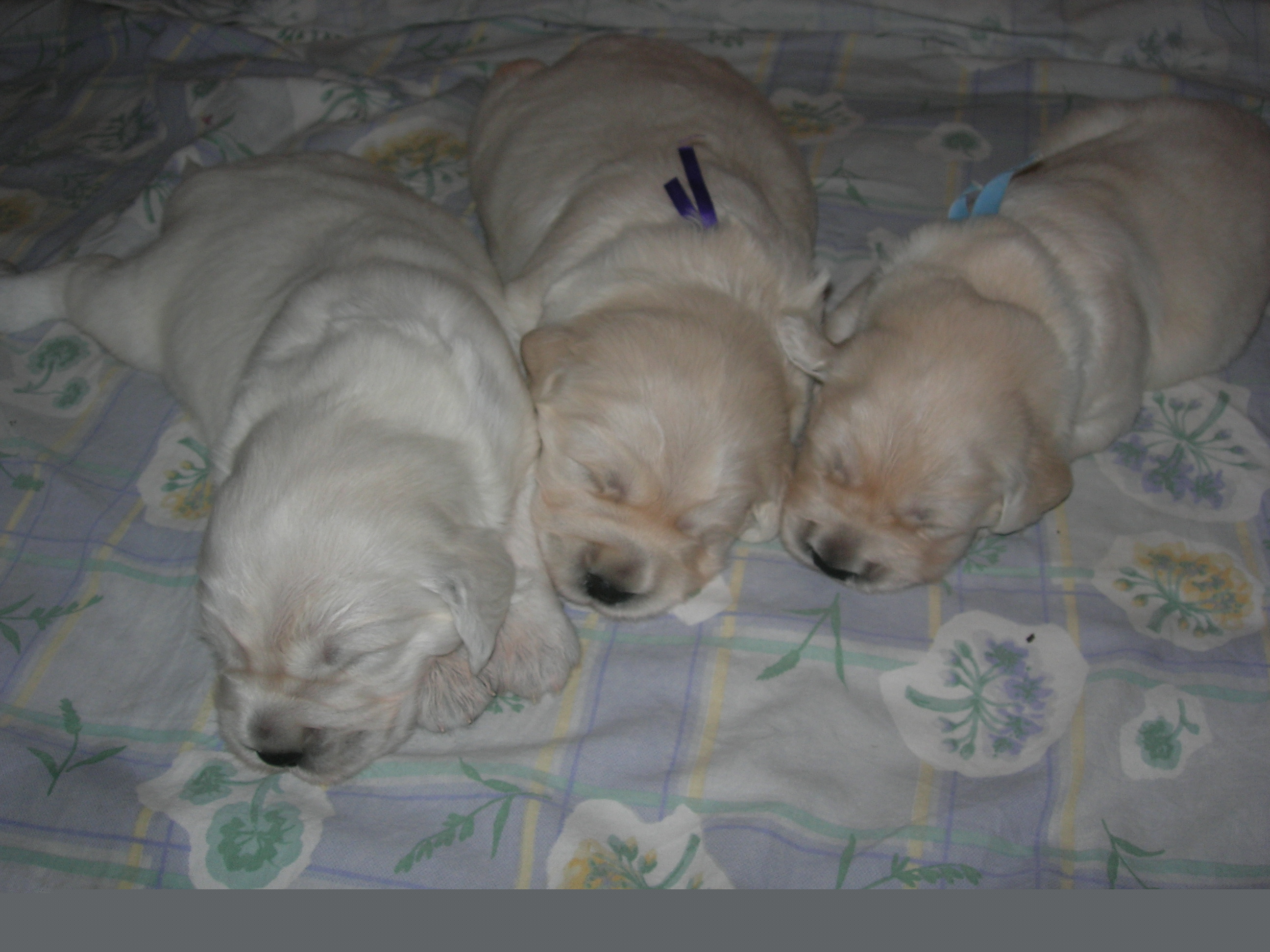 DSCN8950.JPG